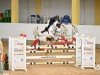 jumper Quiddidsch (Hanoverian, 2016, from Qualito)