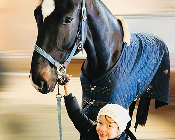 jumper Comelli WK (Oldenburg show jumper, 2018, from Comfort)