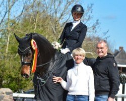 dressage horse Le Charmeur Kk (Holsteiner, 2010, from Larimar)