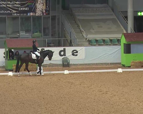 Reitturnier Kreuth 2025