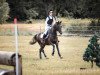 jumper Calimero Is Fun (German Riding Pony, 2016, from Classic Dancer III)