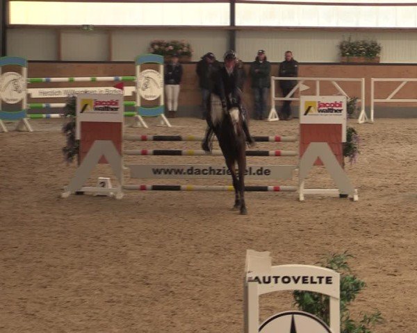 Reitturnier Borken (Hessen) 2025
