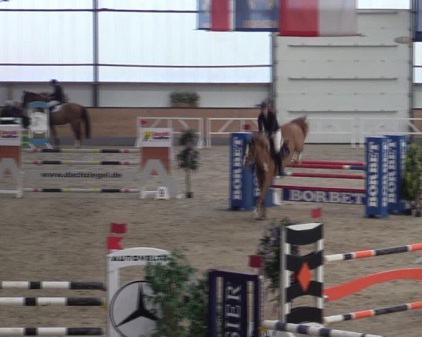 Reitturnier Borken (Hessen) 2025