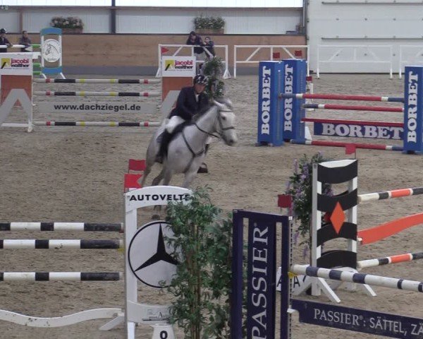 Reitturnier Borken (Hessen) 2025