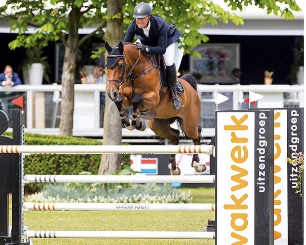 Springpferd Gracieuza H (KWPN (Niederländisches Warmblut), 2011, von Namelus R)