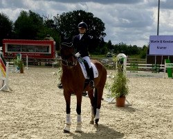 dressage horse Finest Boy 3 (Westphalian, 2012, from Friedensritter)