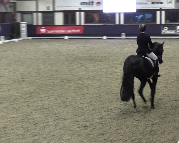 Reitturnier Vlotho-Exter 2025