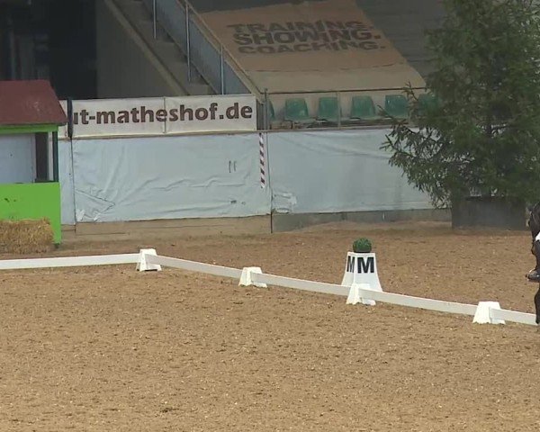 Reitturnier Kreuth 2025