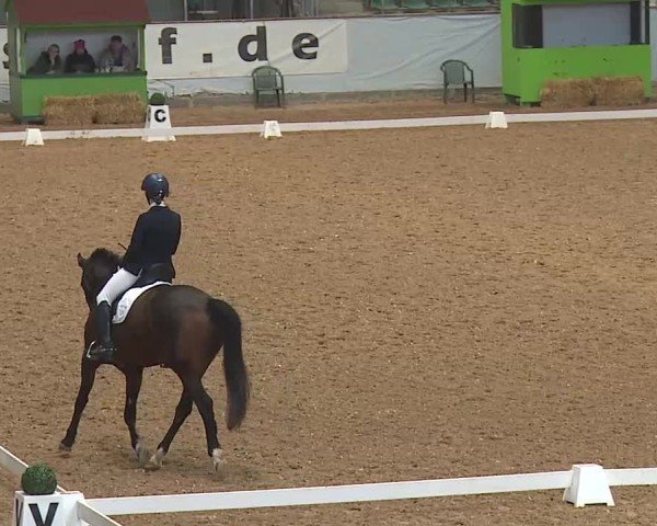 Reitturnier Kreuth 2025