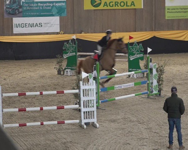 Reitturnier Erlen 2025