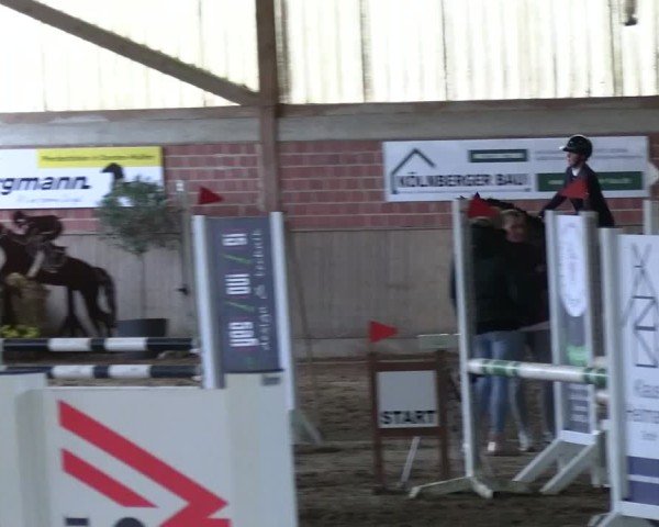 Reitturnier Lembeck 2025