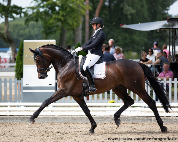 stallion Atterupgaards Barcelo (Oldenburg, 2016, from Bon Coeur)