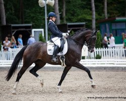 dressage horse Birkhof’s Zieta FBW (German Sport Horse, 2016, from Birkhof's Zalando OLD)