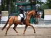 dressage horse DSP Zampano (German Sport Horse, 2016, from Zack)