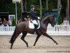 dressage horse Vitosko (Oldenburg, 2016, from Vivaldi)