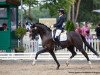 dressage horse Venezia GV (Westphalian, 2016, from Villeneuve)