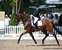 dressage horse Rocket Man 15 (Hanoverian, 2016, from Rocco Granata)