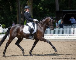 broodmare Lanas Coeur (Oldenburg, 2016, from Bon Coeur)