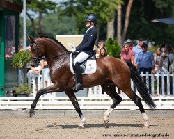 stallion Franz Joseph Junior (Westphalian, 2016, from Franziskus FRH)