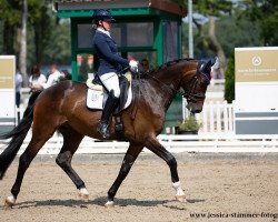 dressage horse Floriado 3 (Oldenburg, 2016, from Florenz 71)