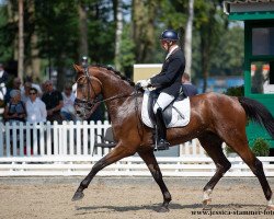 dressage horse Firestone VIP (Hanoverian, 2016, from Tannenhof's Fahrenheit)