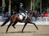 stallion Felissimo 4 (Westphalian, 2016, from Franziskus FRH)