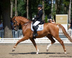 dressage horse Escorial Q NRW (Westphalian, 2016, from Escolar)