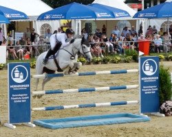 jumper Kaischa (German Sport Horse, 2008, from Kaiserwind)