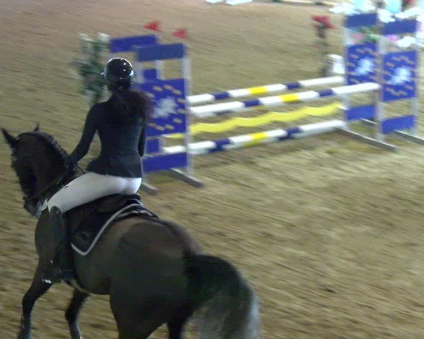 Reitturnier Boll 2025