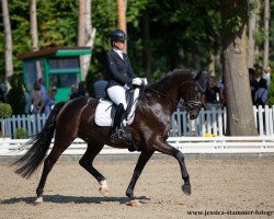 dressage horse Diafys (Oldenburg, 2016, from DeLorean)