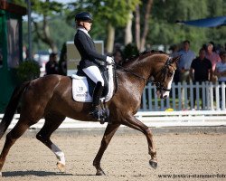 dressage horse Brighton OLD (Oldenburg, 2016, from Callaho's Benicio)