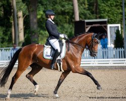 dressage horse Bella Cherie V (Hanoverian, 2016, from Callaho's Benicio)