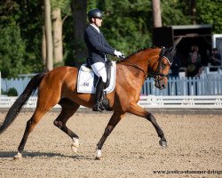 dressage horse Beautiful Mind 10 (Westfale, 2016, from Baccardi)