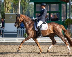 dressage horse Bassantino (Hanoverian, 2016, from Callaho's Benicio)