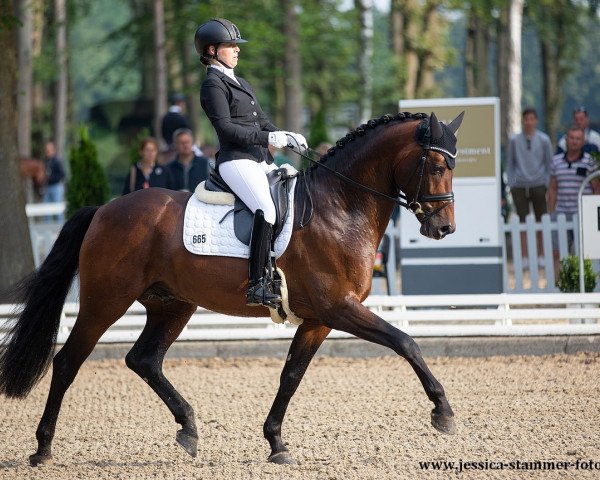 stallion Rod Laver (Hanoverian, 2016, from Rock Forever NRW)