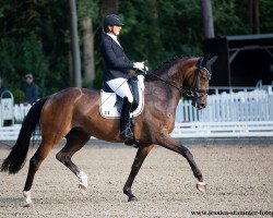 dressage horse Danza del Sol (Westphalian, 2016, from DeLorean)