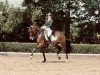 dressage horse Heaven Sent TCS (KWPN (Royal Dutch Sporthorse), 2012, from Florencio I)