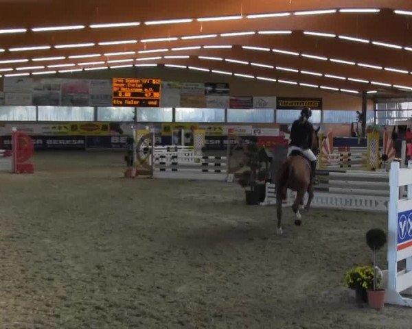 6. Isterberger Euregio-Hallen Springturnier vom 10.-13.10.2013