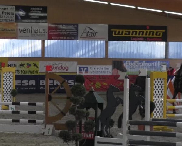 6. Isterberger Euregio-Hallen Springturnier vom 10.-13.10.2013