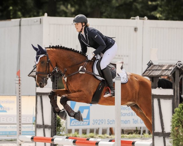 jumper Balou's Bounty (Hanoverian, 2014, from Balou du Rouet)