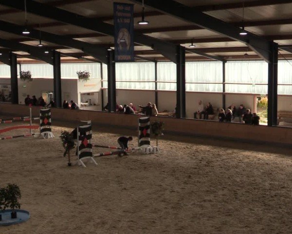 Reitturnier Borken (Hessen) 2025