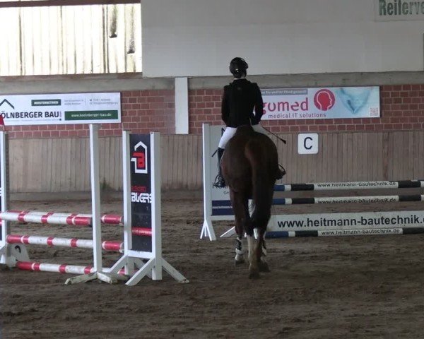 Reitturnier Lembeck 2025