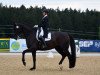 dressage horse Santiago 264 (Oldenburg, 2010, from San Amour I)