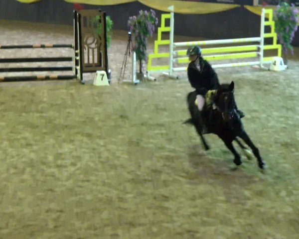 Reitturnier Boll 2025