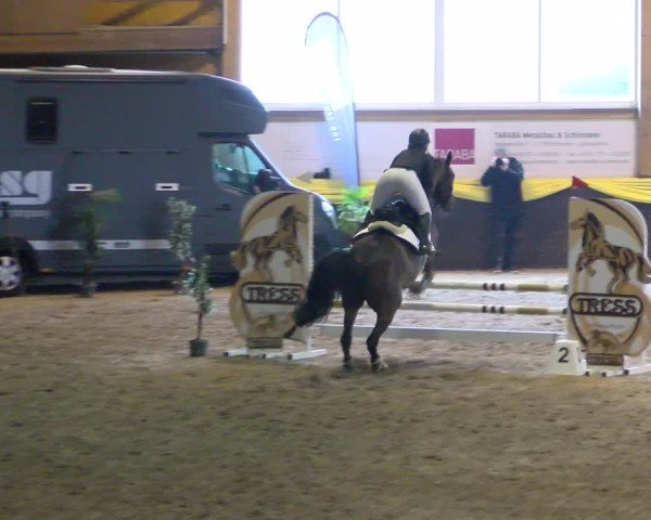 Reitturnier Boll 2025