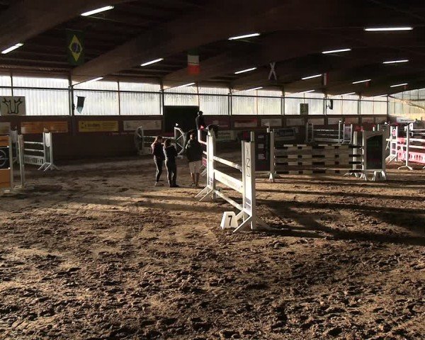 Reitturnier Lembeck 2025
