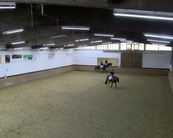 Reitturnier Laer 2025