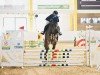 Springpferd Venus Mi Corazon (Oldenburger Springpferd, 2019)