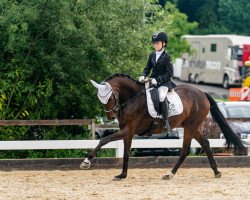 dressage horse Fürstin Wilhelmine (Hanoverian, 2018, from Fürst Wilhelm)