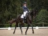 dressage horse Flambeau VII (Westphalian, 2010, from Flanagan)